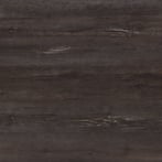 Driftwood