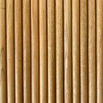 Oak