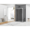 Van Rijn Products ST06350 deur voor hoekcabine 120 x 200 cm rookglas chroom