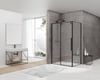 Van Rijn Products ST06350 wand voor hoekcabine 90 x 200 cm helder glas zwart