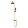 Brauer Gold Edition stortdoucheset - hoofddouche 20cm - ronde handdouche - geborsteld goud PVD