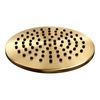 Brauer Gold Edition stortdoucheset - hoofddouche 20cm - ronde handdouche - geborsteld goud PVD