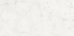 Wit