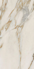 Calacatta Venna Oro