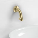 Geborsteld goud PVD
