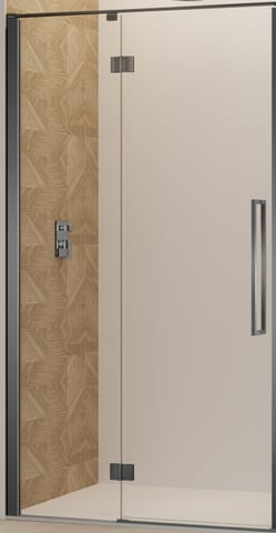Van Rijn Products ST07GM deur voor douchecabine 100cm Geborsteld gunmetal