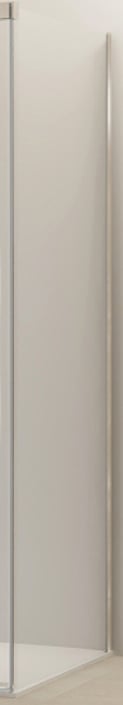 Van Rijn Products ST09350100WBN zijwand voor douchecabine 100cm - Geborsteld RVS