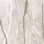 Silver Roots
