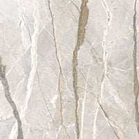Flaviker Supreme Hedonism tegel 120x120cm - silver roots