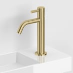 Geborsteld goud PVD