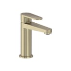 Geborsteld mat goud PVD