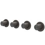 Geborsteld carbon black PVD