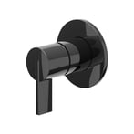Zwart chroom PVD