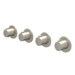 Geborsteld nickel PVD