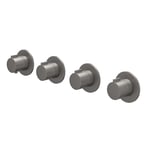 Geborsteld metal black PVD