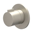 Geborsteld nickel PVD