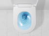 Rapotec Rapowash Basic 2.0 douche wc 