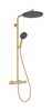 Hansgrohe Raindance Alive S Puro showerpipe 300 1jet met Ecostat Element - brushed bronze
