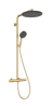 Hansgrohe Raindance Alive S Puro showerpipe 300 1jet met Ecostat Element - Polished Gold-Optic