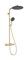 Hansgrohe Raindance Alive S Puro showerpipe 300 1jet met Ecostat Element - Polished Gold-Optic