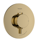 Polished Gold Optic