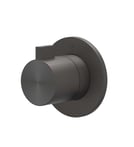Geborsteld carbon black PVD