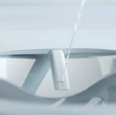 Laufen Cleanet Pro X douche wc 54cm SilentFlush wit