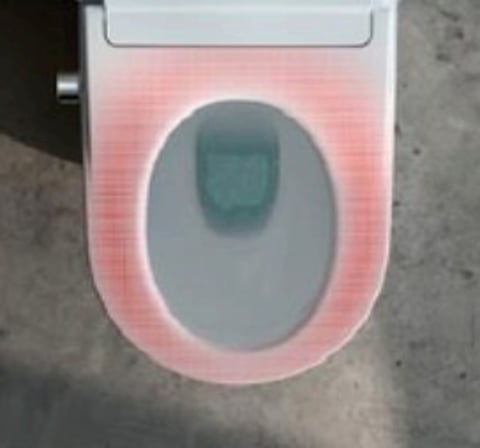 Laufen Cleanet Pro X douche wc 54cm SilentFlush wit