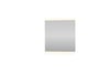 Basic Line Ultimate spiegel vierkant - indirecte LED verlichting boven & onder - 60x60cm