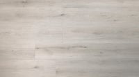 Sample - Bobeau Mantaro plak-SPC - fossil