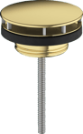 Polished Gold Optic