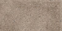Sphinx Tegels Terrazzo tegel 60x120cm - brown