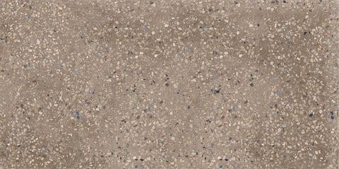 Sphinx Tegels Terrazzo tegel 60x120cm - brown