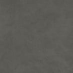 Coal