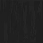 Gloss Black