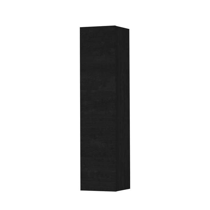 Ink Hoge kast tbv grepen 169x36cm - 1 deurs - links/rechts - front vlak - fineer matt intens black