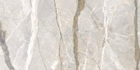 Flaviker Supreme Hedonism tegel 60x120cm - silver roots