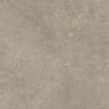 Ragno Richmond tegel 100x100cm - Musk
